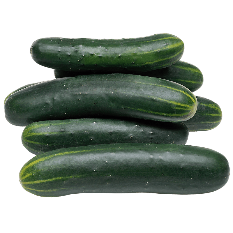 Pepino Salada